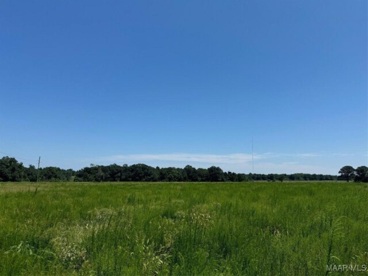 Picture of Residential Land For Sale in Dothan, Alabama, United States