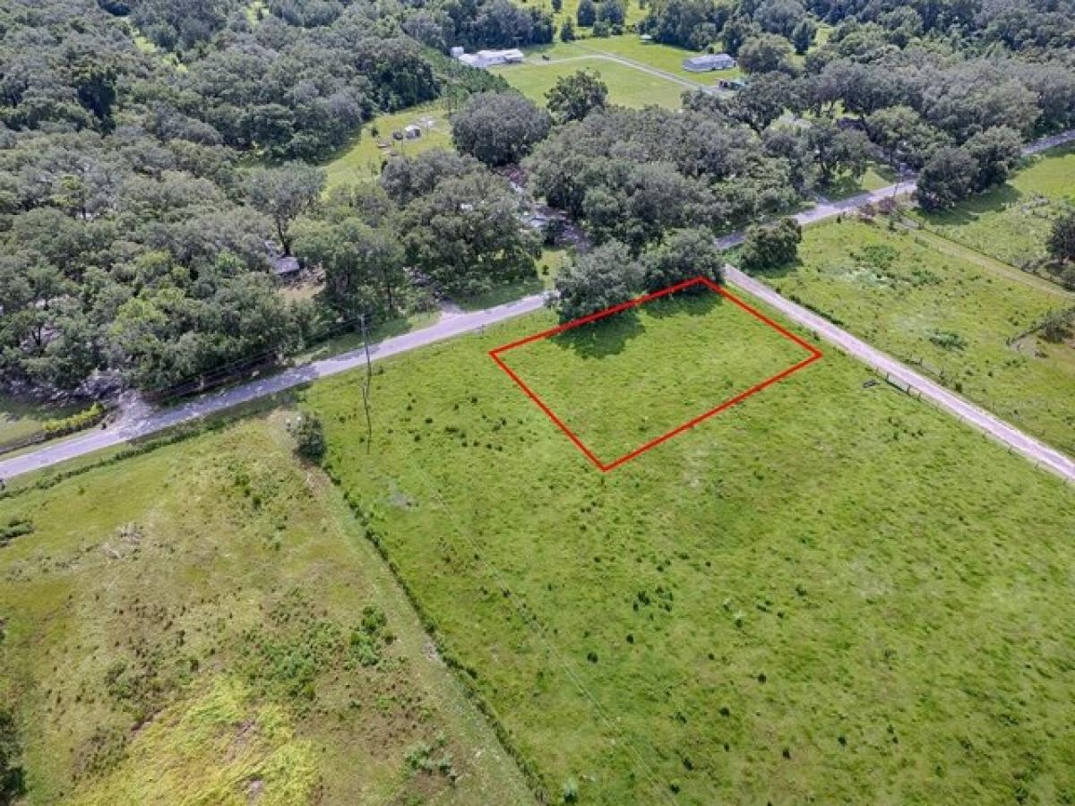 Picture of Residential Land For Sale in Bushnell, Florida, United States