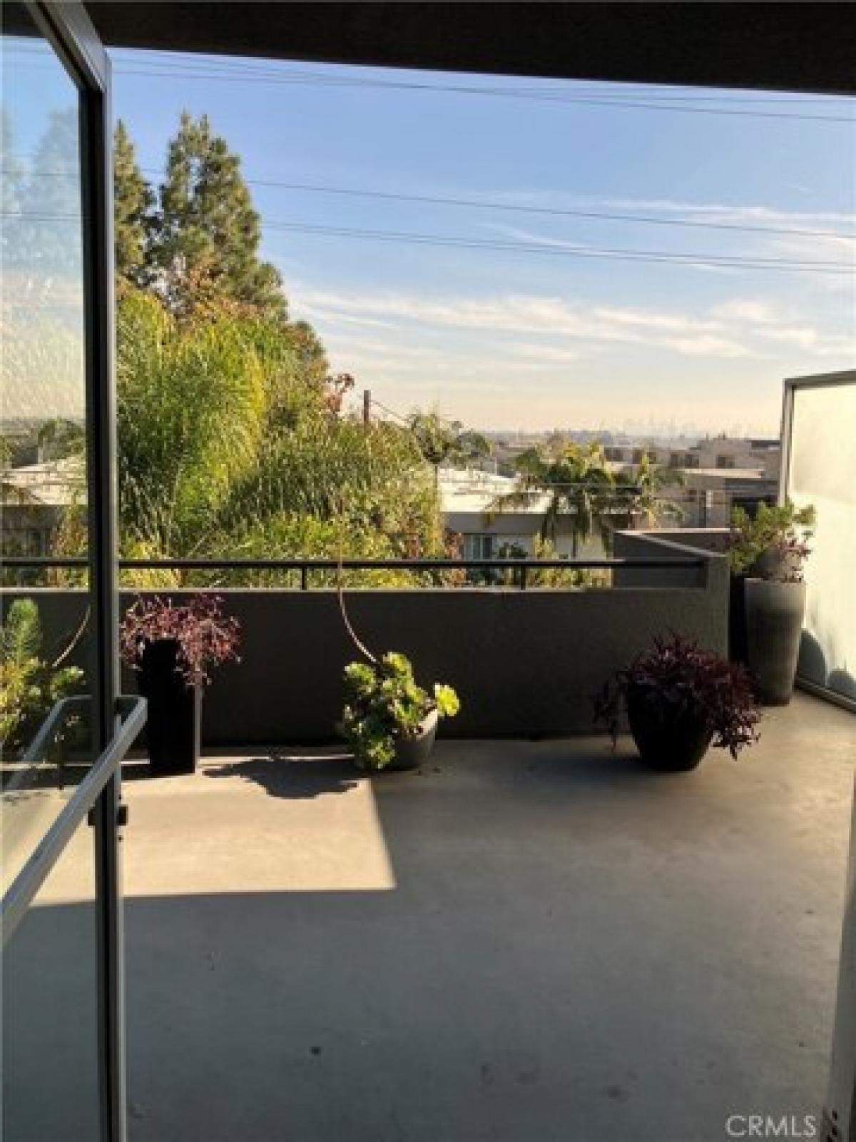 Picture of Apartment For Rent in Los Angeles, California, United States