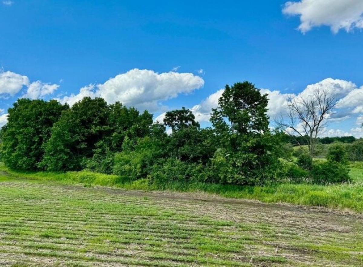 Picture of Residential Land For Sale in Campbellsport, Wisconsin, United States