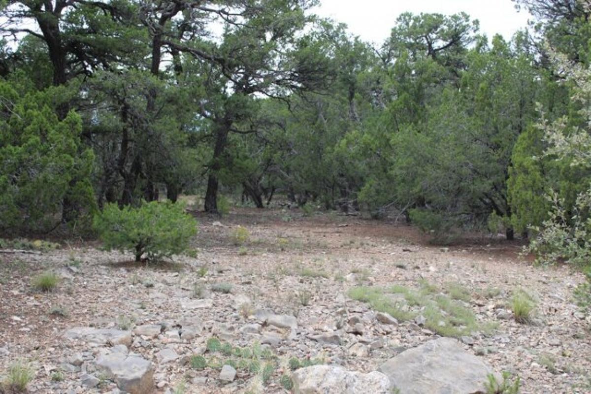 Picture of Residential Land For Sale in Tijeras, New Mexico, United States