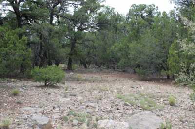 Residential Land For Sale in Tijeras, New Mexico