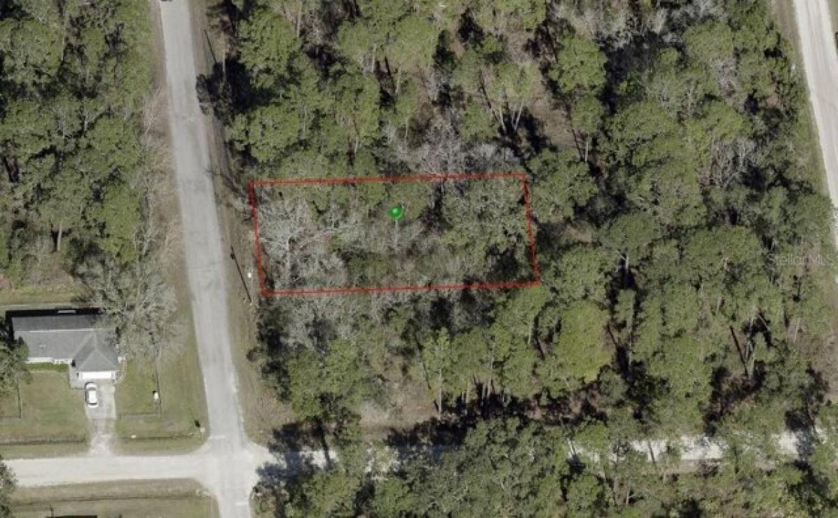 Picture of Residential Land For Sale in Deland, Florida, United States