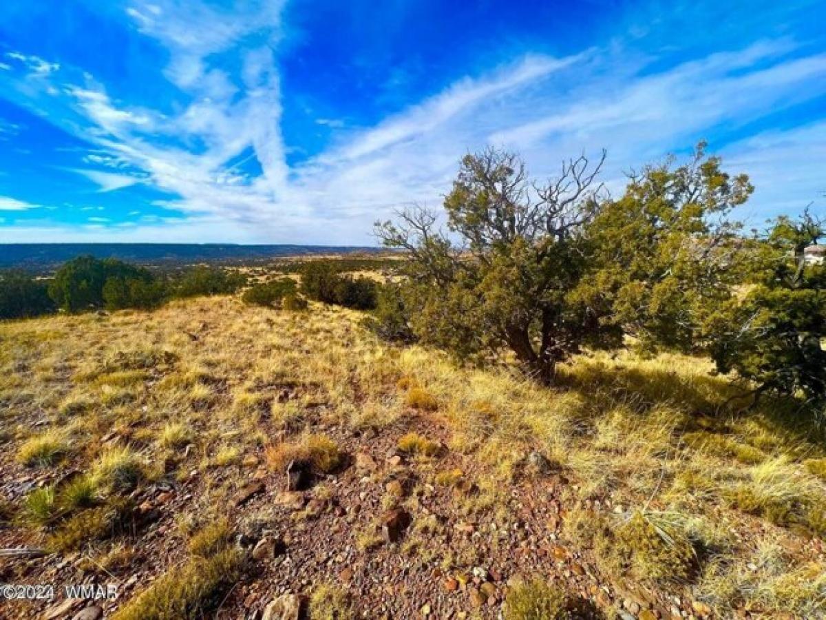 Picture of Residential Land For Sale in Concho, Arizona, United States