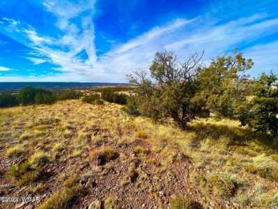 Residential Land For Sale in Concho, Arizona