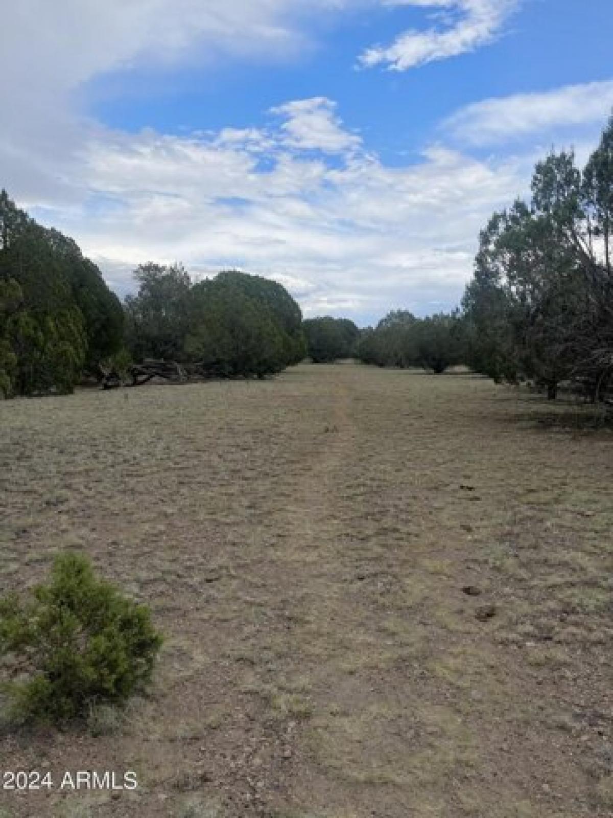 Picture of Residential Land For Sale in Seligman, Arizona, United States