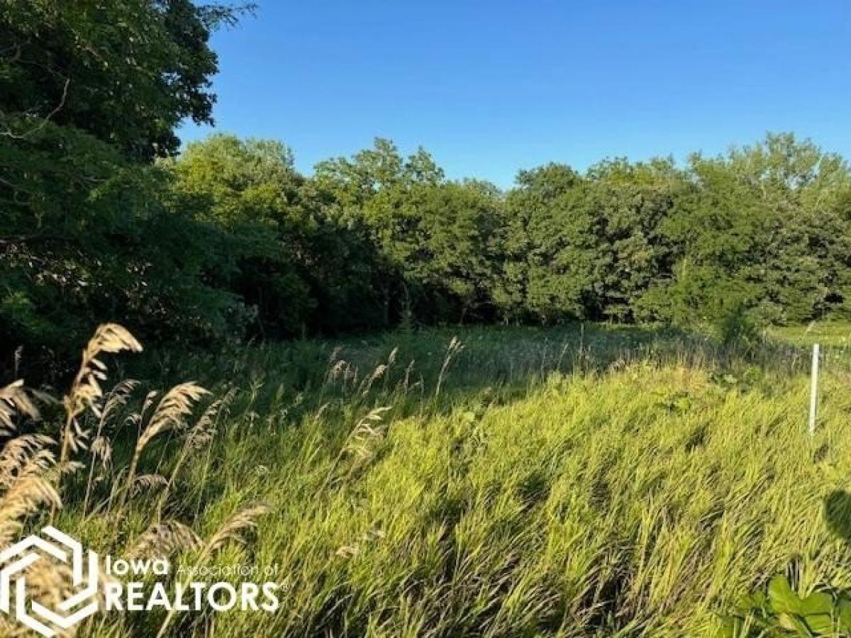 Picture of Residential Land For Sale in Bedford, Iowa, United States