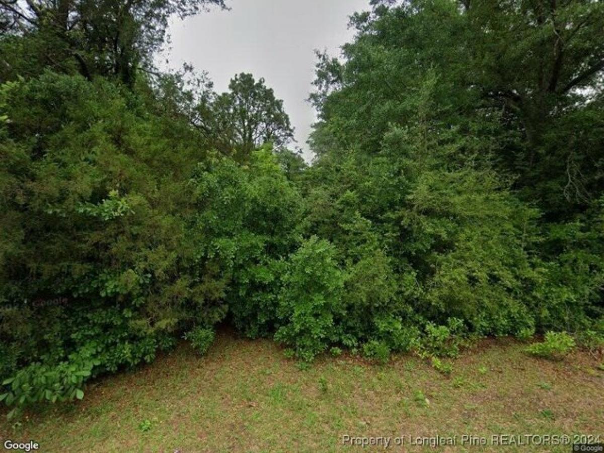 Picture of Residential Land For Sale in Aberdeen, North Carolina, United States