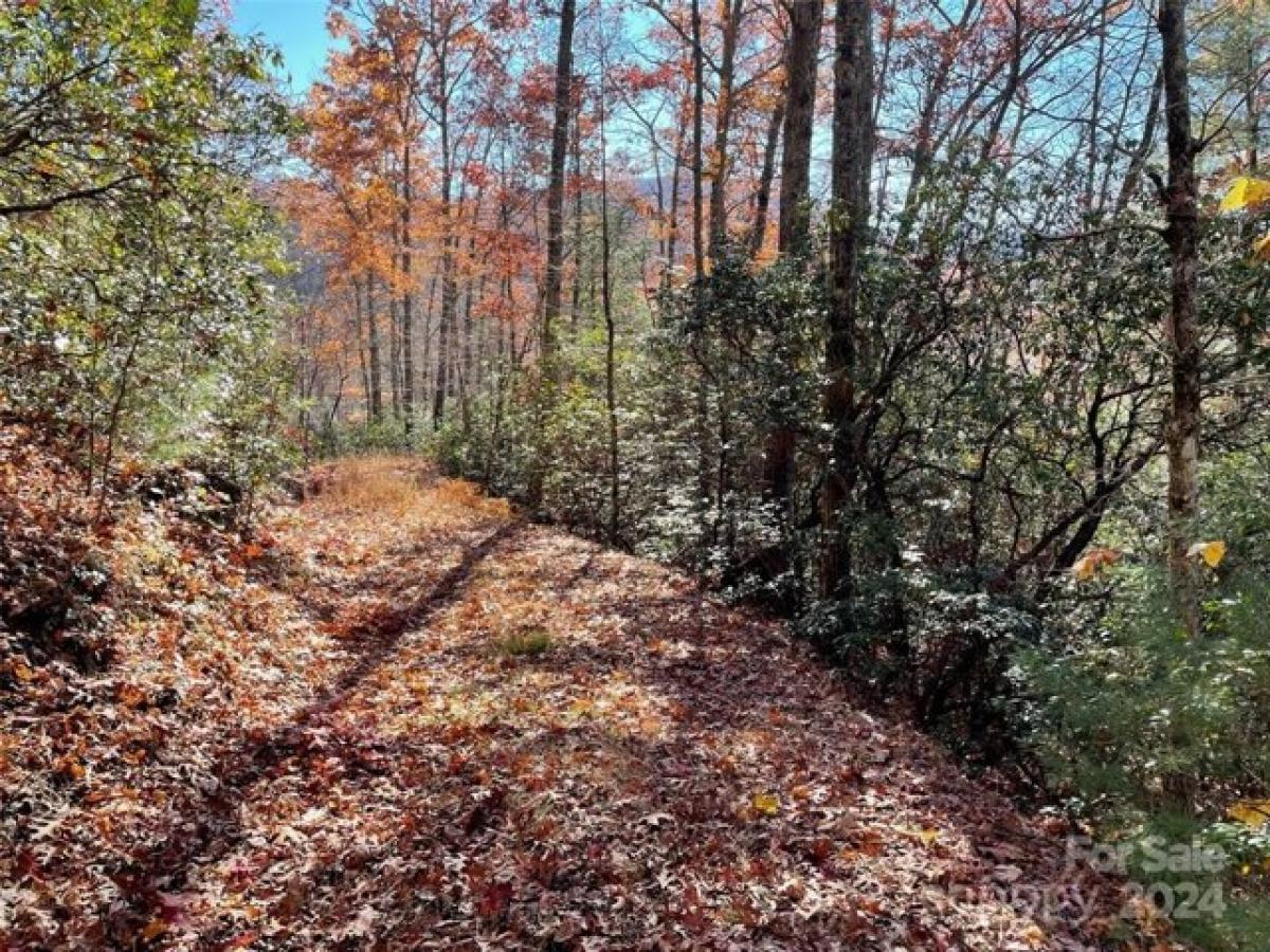 Picture of Residential Land For Sale in Brevard, North Carolina, United States