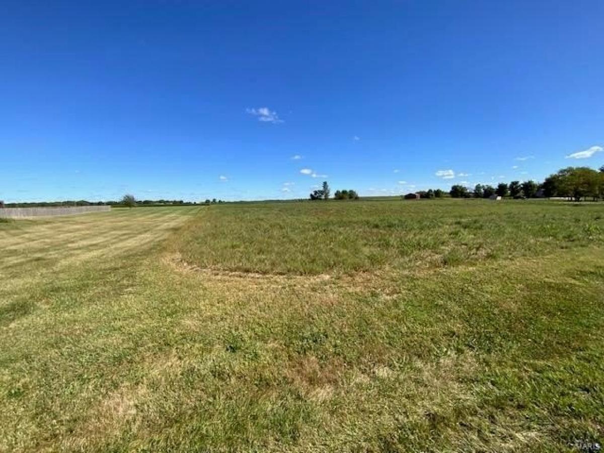 Picture of Residential Land For Sale in Highland, Illinois, United States