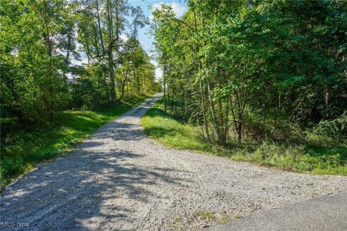 Picture of Residential Land For Sale in Roseville, Ohio, United States