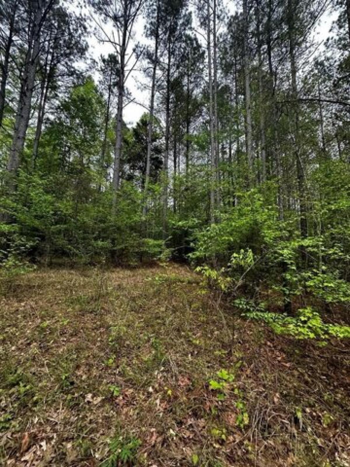 Picture of Residential Land For Sale in Oxford, Mississippi, United States