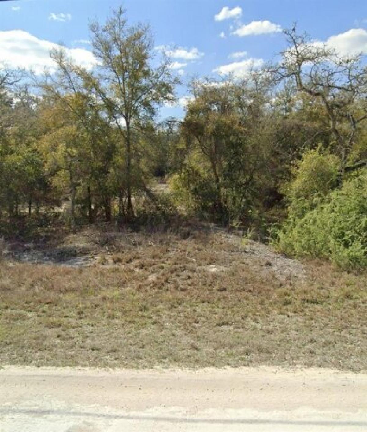 Picture of Residential Land For Sale in Dade City, Florida, United States