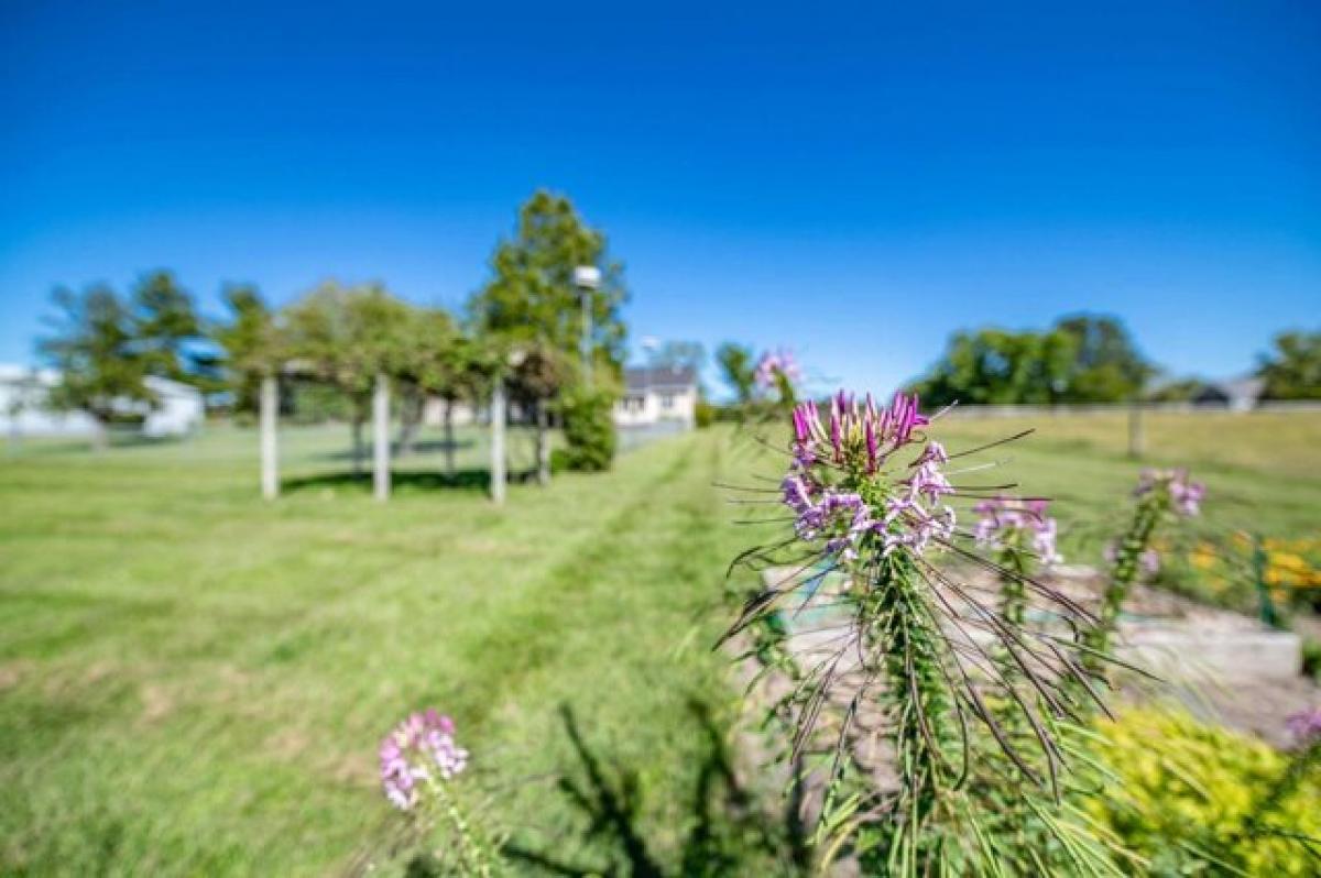 Picture of Home For Sale in Columbia, Missouri, United States