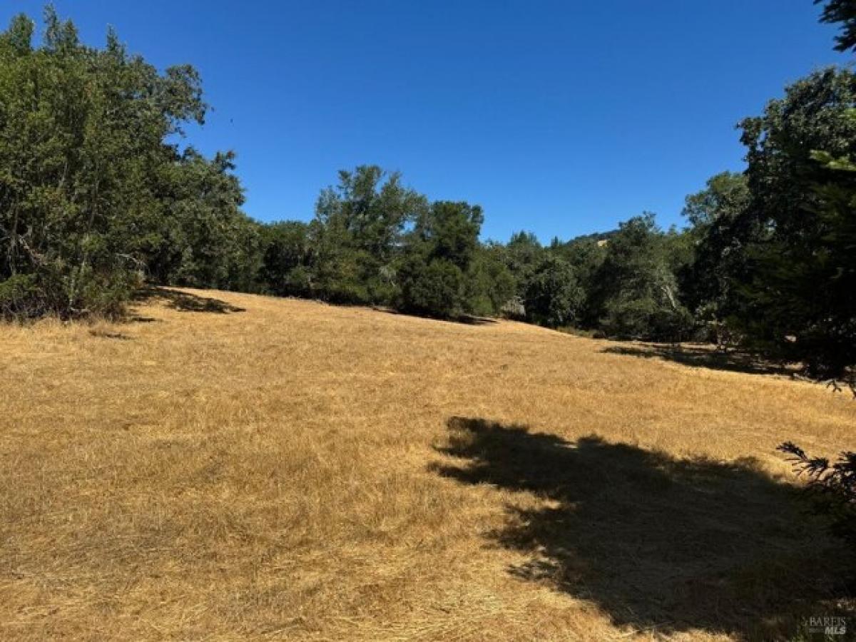 Picture of Residential Land For Sale in Sonoma, California, United States