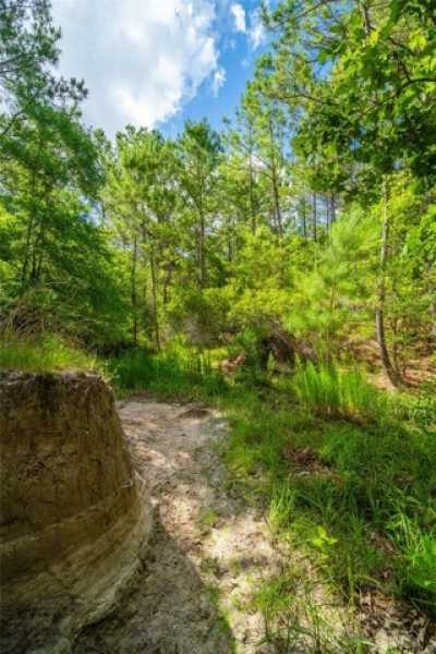 Residential Land For Sale in College Station, Texas