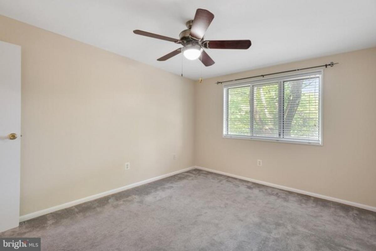 Picture of Apartment For Rent in Rockville, Maryland, United States