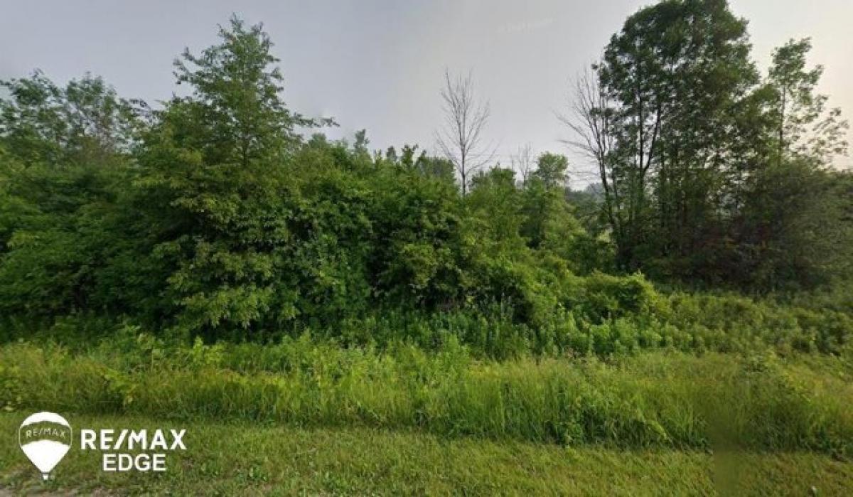 Picture of Residential Land For Sale in Clio, Michigan, United States