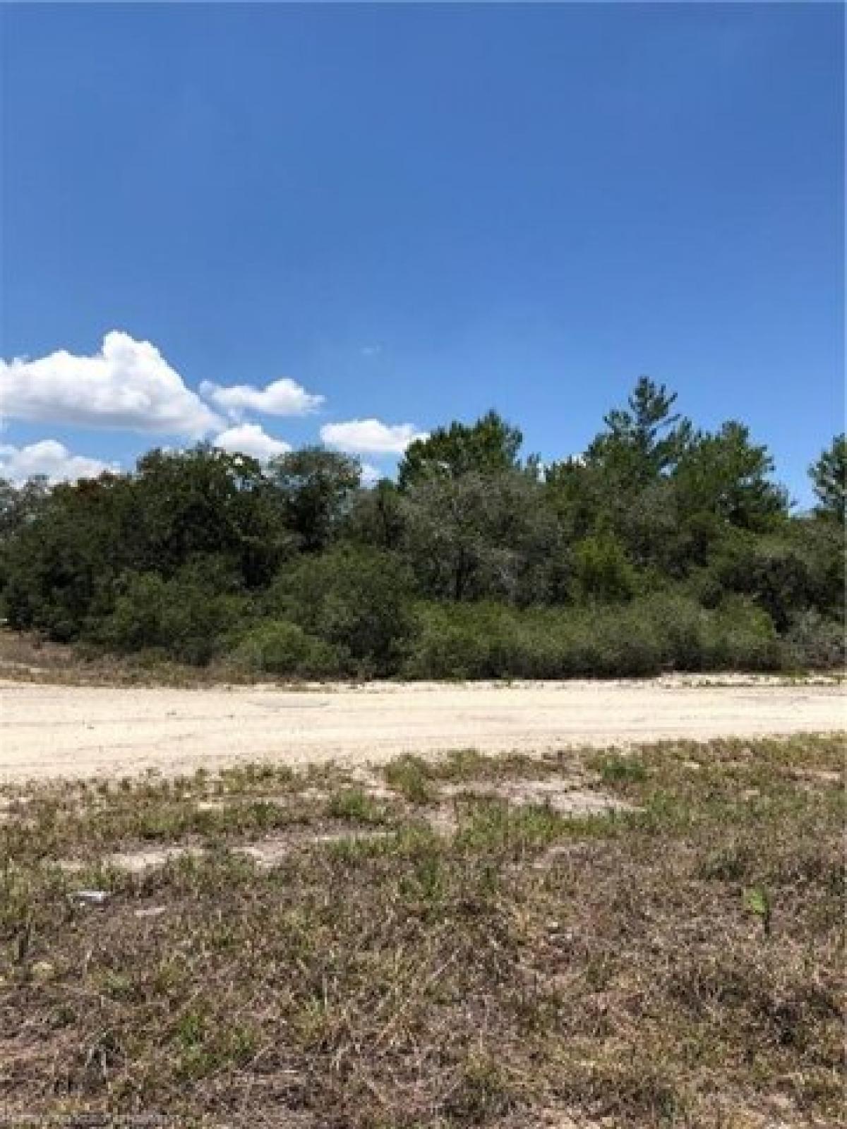 Picture of Residential Land For Rent in Lake Placid, Florida, United States