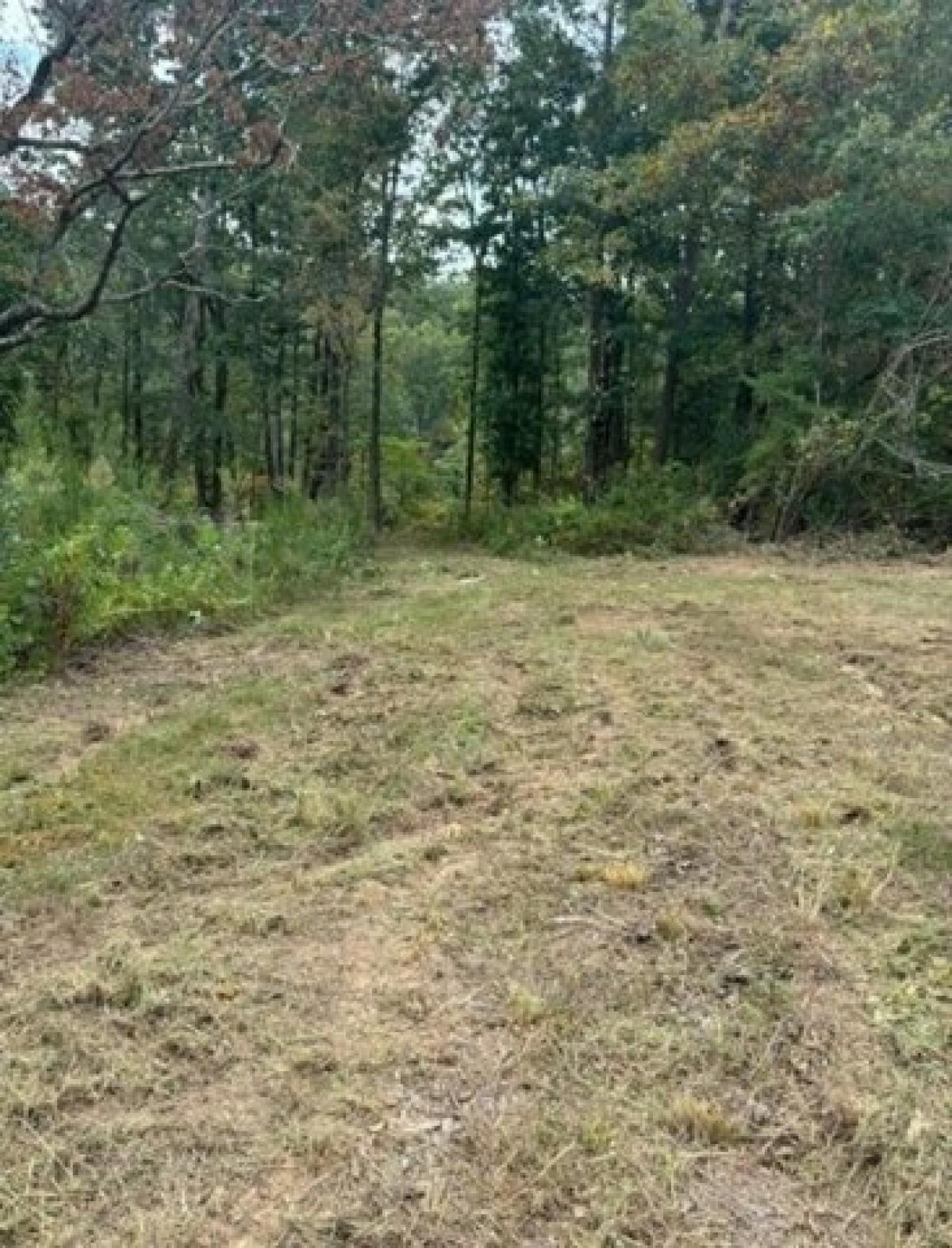 Picture of Residential Land For Sale in Waterloo, Alabama, United States