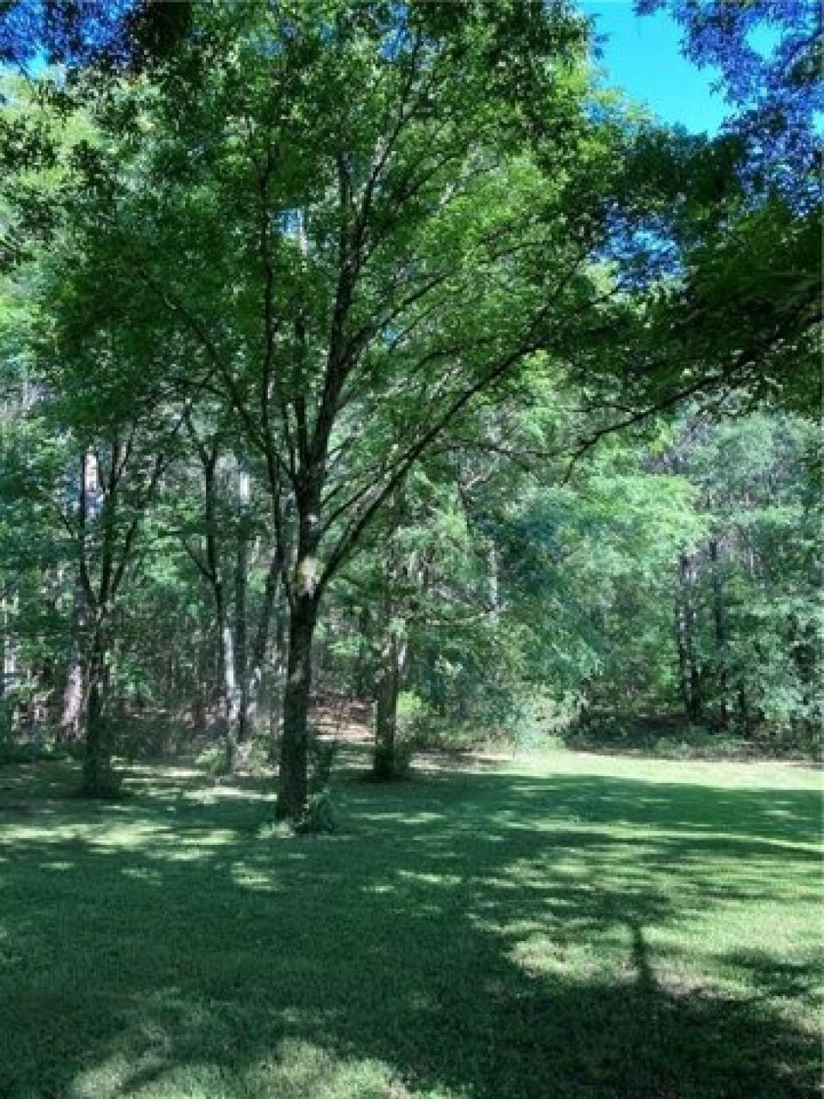 Picture of Residential Land For Sale in Loganville, Georgia, United States