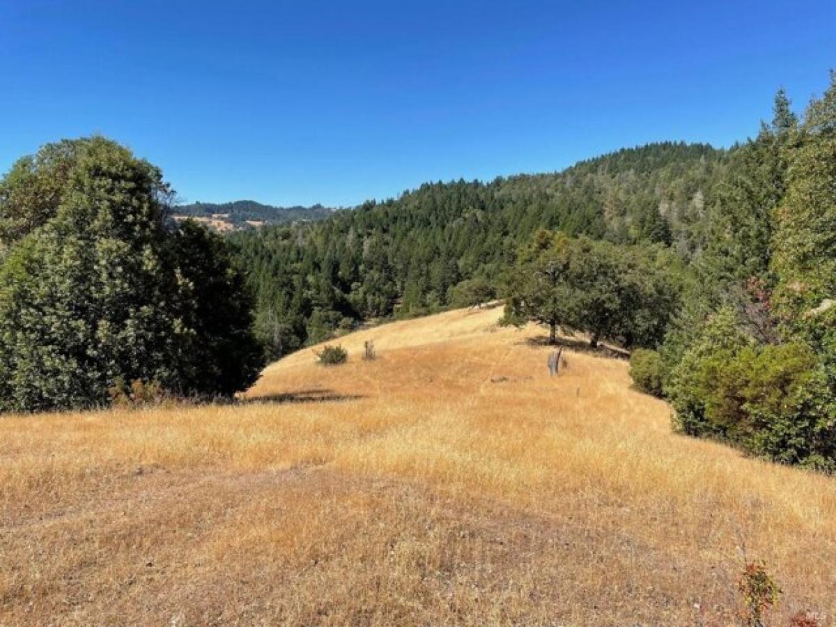 Picture of Home For Sale in Willits, California, United States