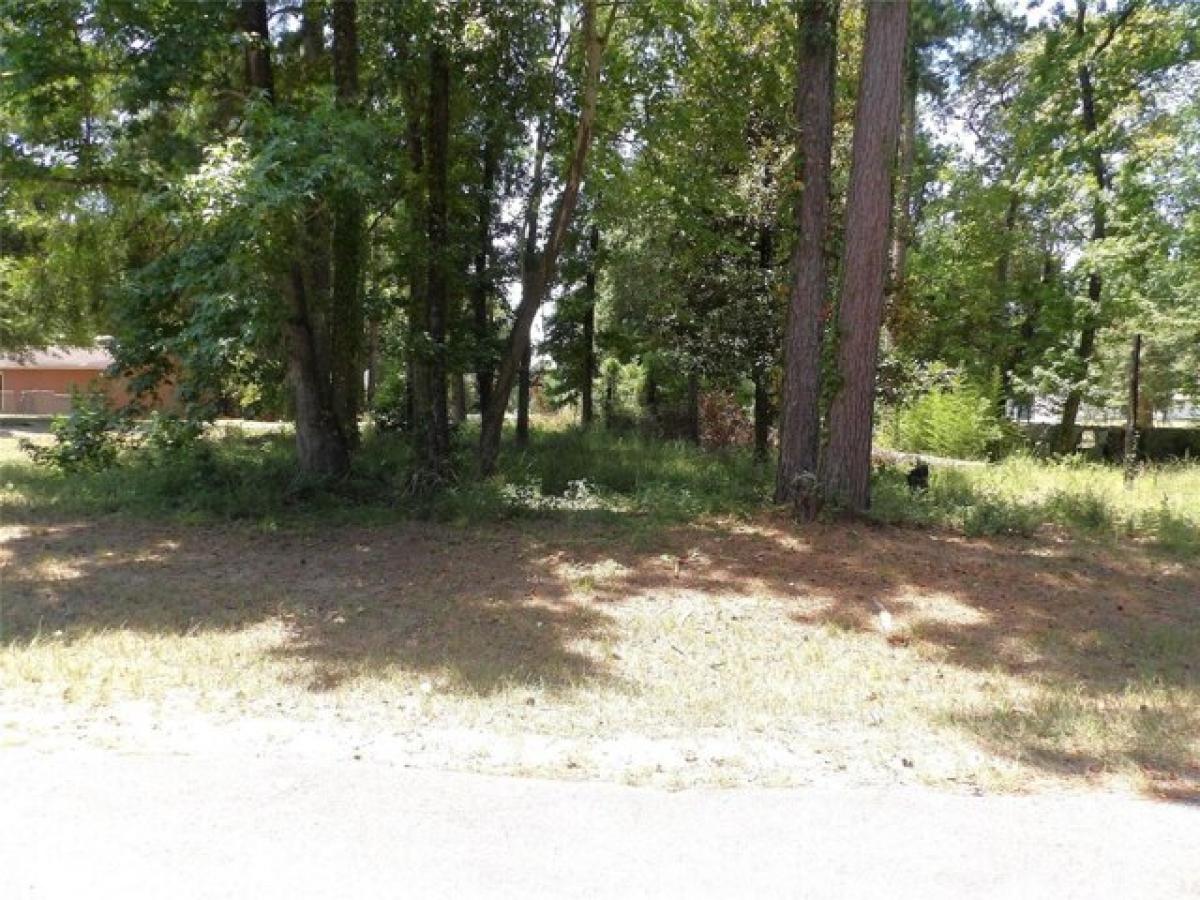 Picture of Residential Land For Sale in Livingston, Texas, United States