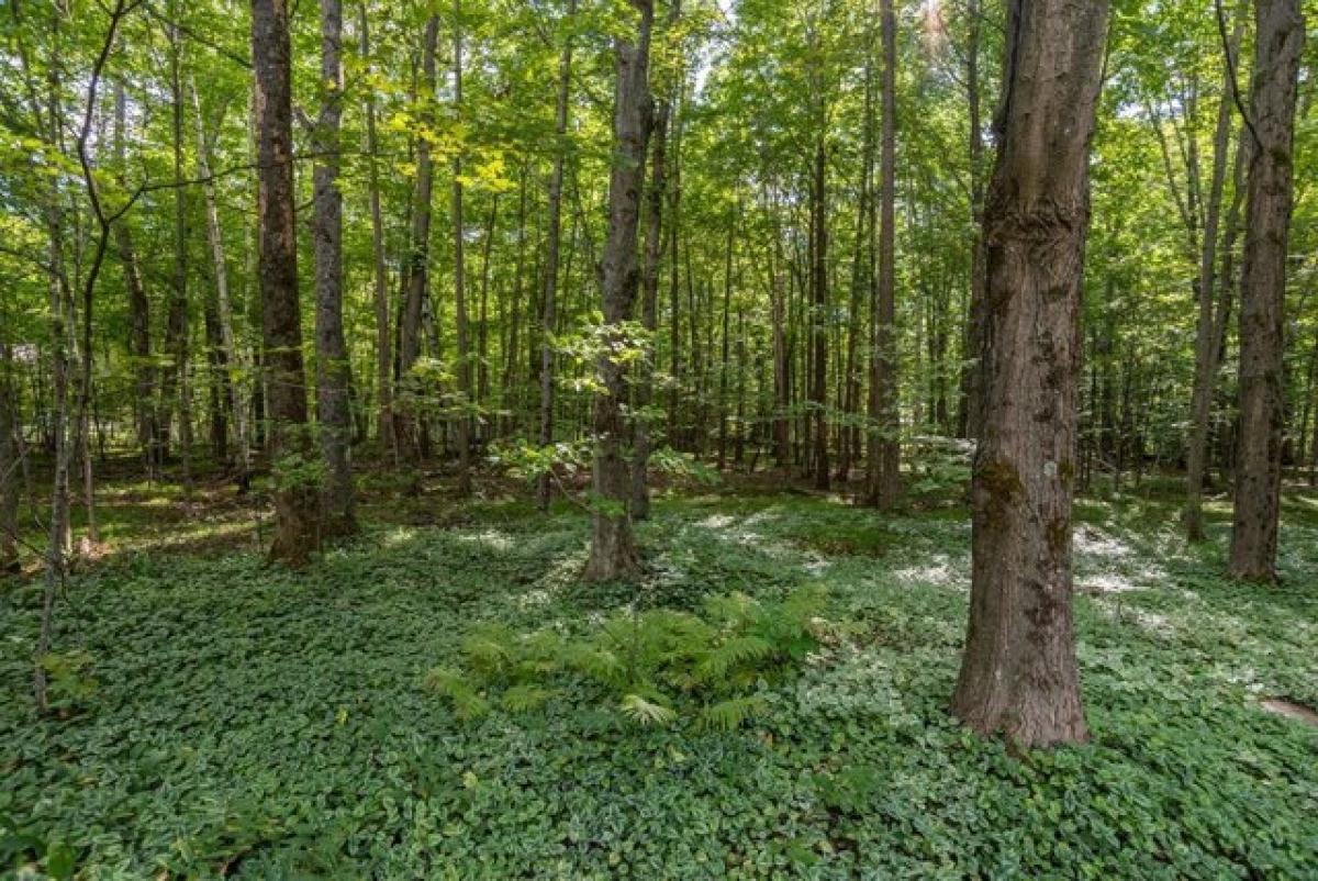 Picture of Home For Sale in Egg Harbor, Wisconsin, United States