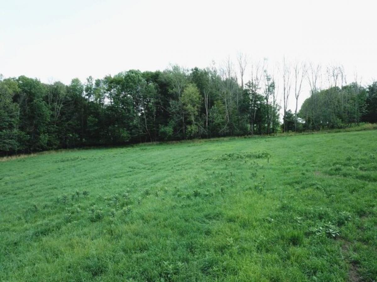 Picture of Home For Sale in Harrison Valley, Pennsylvania, United States