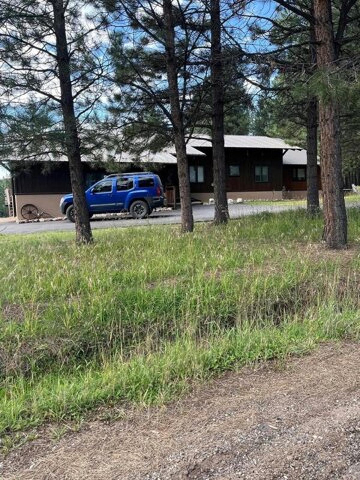 Picture of Home For Sale in Angel Fire, New Mexico, United States