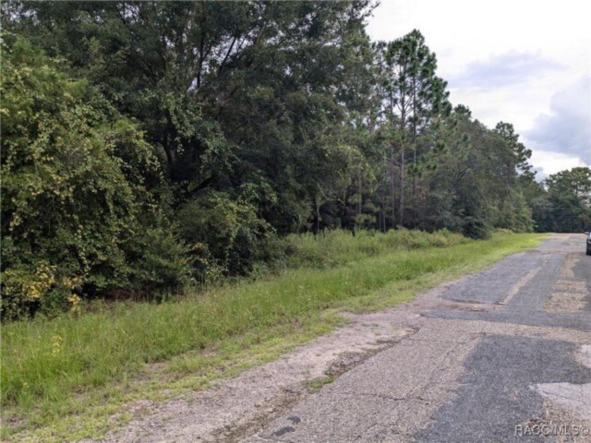 Picture of Residential Land For Sale in Citrus Springs, Florida, United States