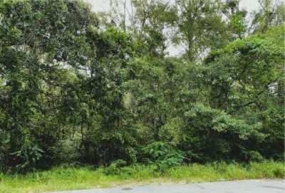 Residential Land For Sale in Theodore, Alabama