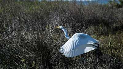 Home For Sale in Crystal Beach, Texas