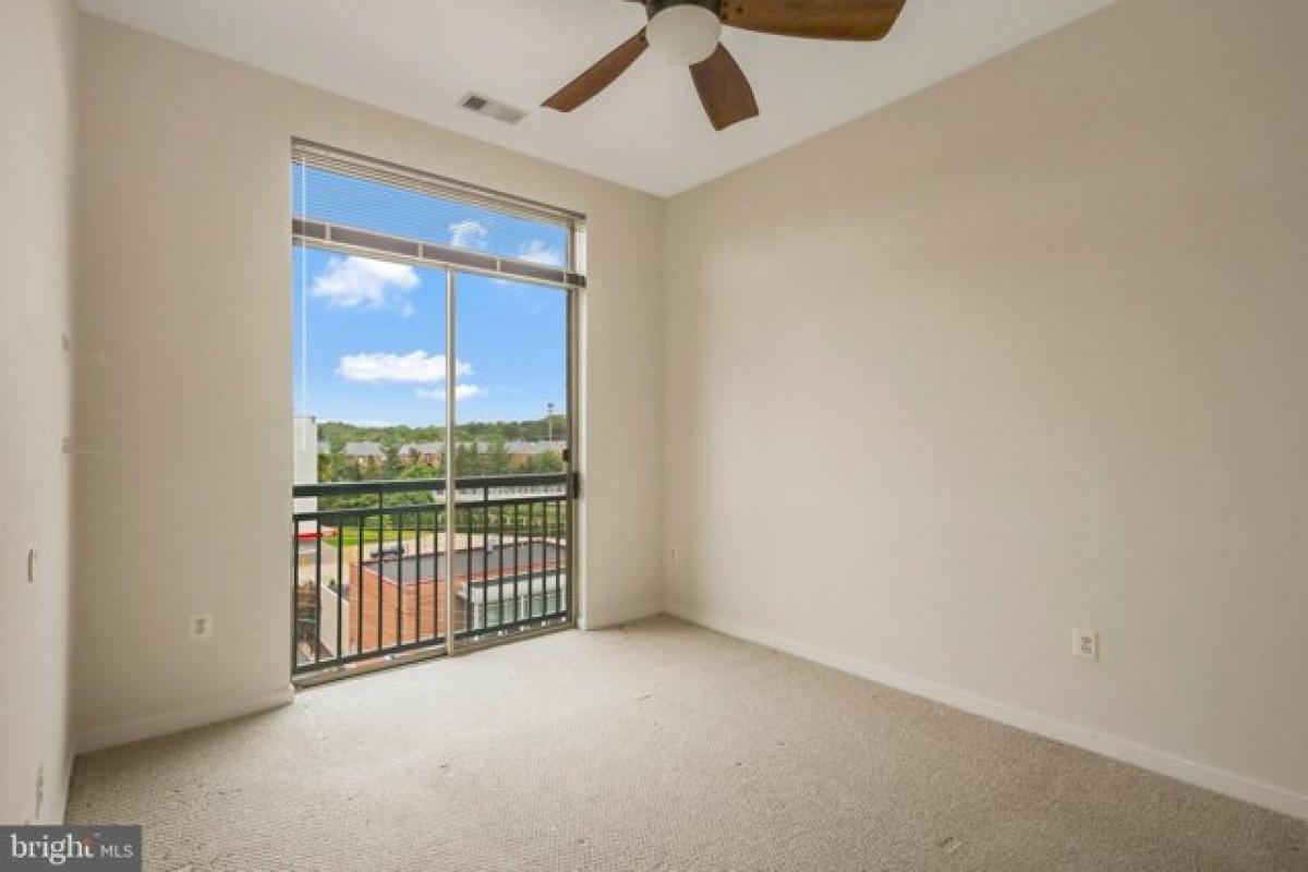 Picture of Home For Rent in Arlington, Virginia, United States