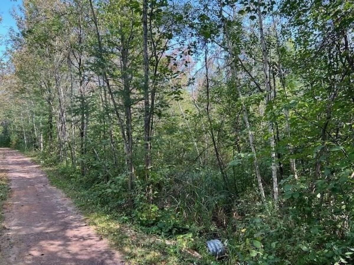 Picture of Residential Land For Sale in Pembine, Wisconsin, United States