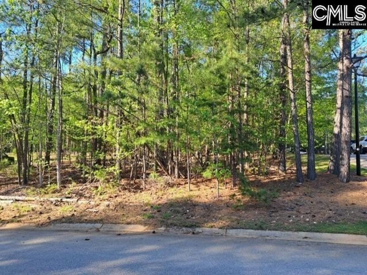 Picture of Residential Land For Sale in Chapin, South Carolina, United States