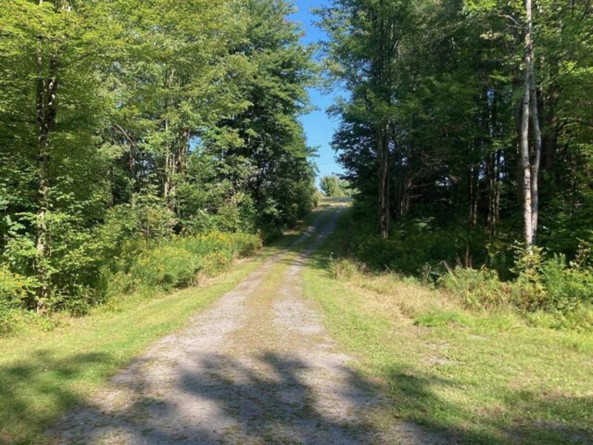 Picture of Residential Land For Sale in Fairfax, Vermont, United States