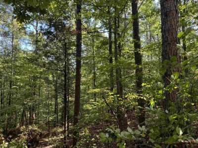 Residential Land For Sale in Yellville, Arkansas