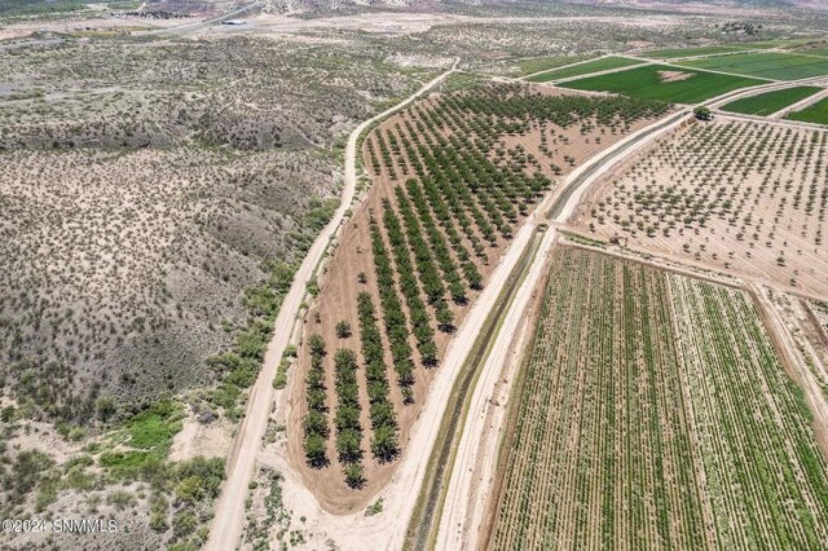 Picture of Residential Land For Sale in Hatch, New Mexico, United States