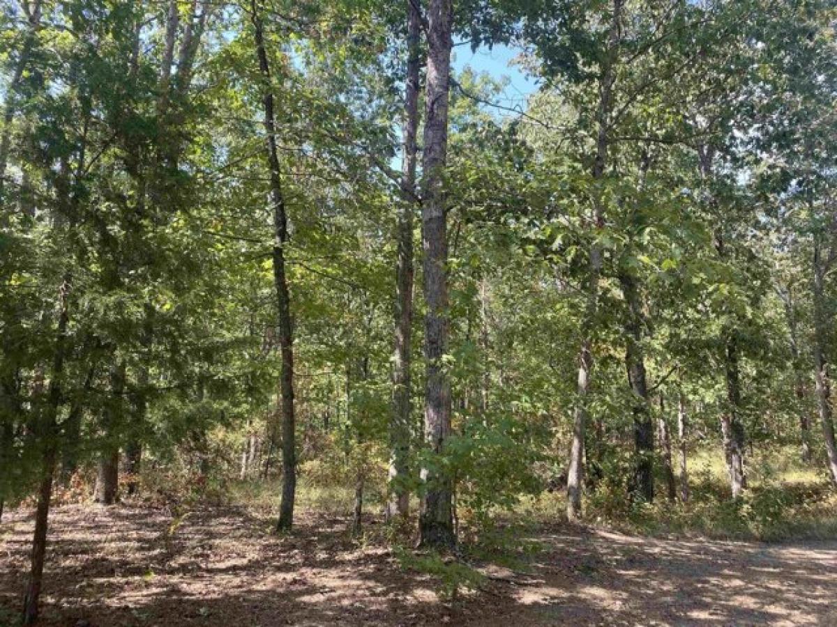 Picture of Residential Land For Sale in Savannah, Tennessee, United States