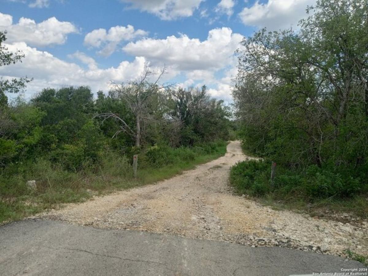 Picture of Residential Land For Sale in Live Oak, Texas, United States