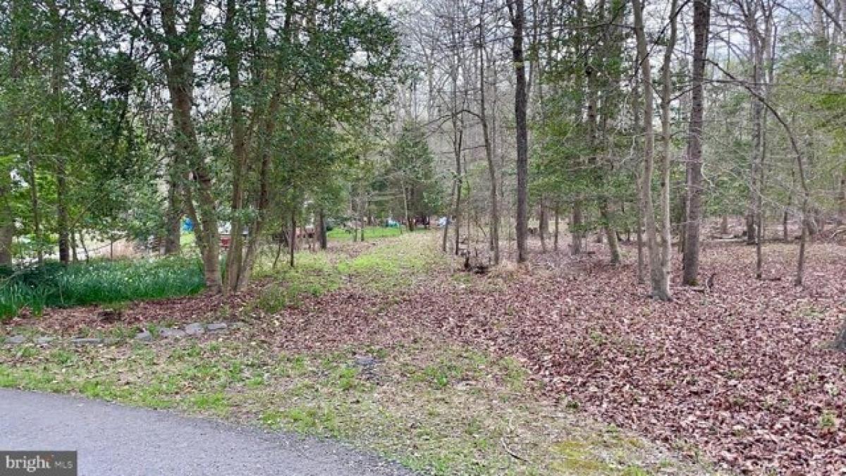 Picture of Residential Land For Sale in Lorton, Virginia, United States