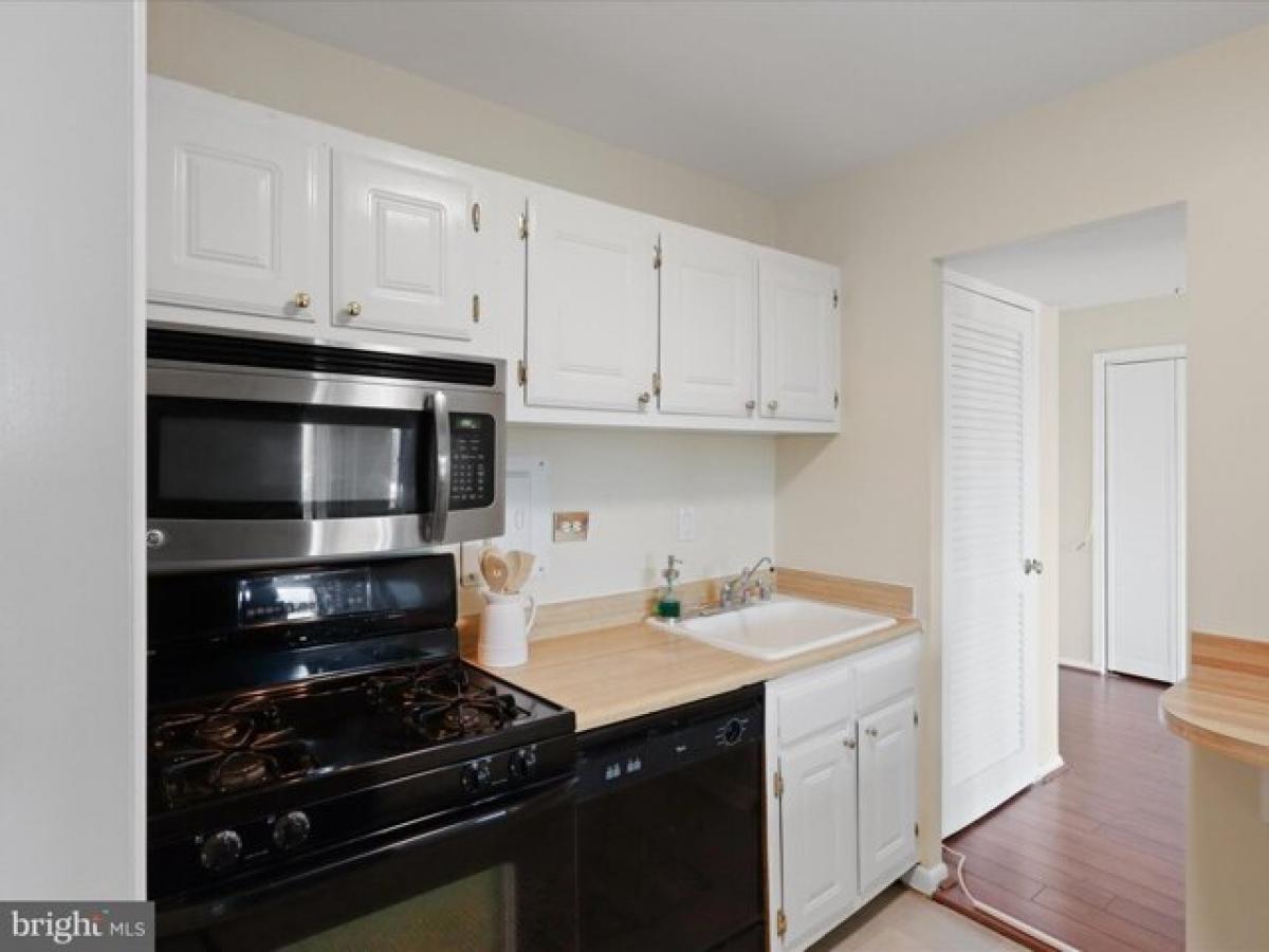 Picture of Apartment For Rent in Alexandria, Virginia, United States