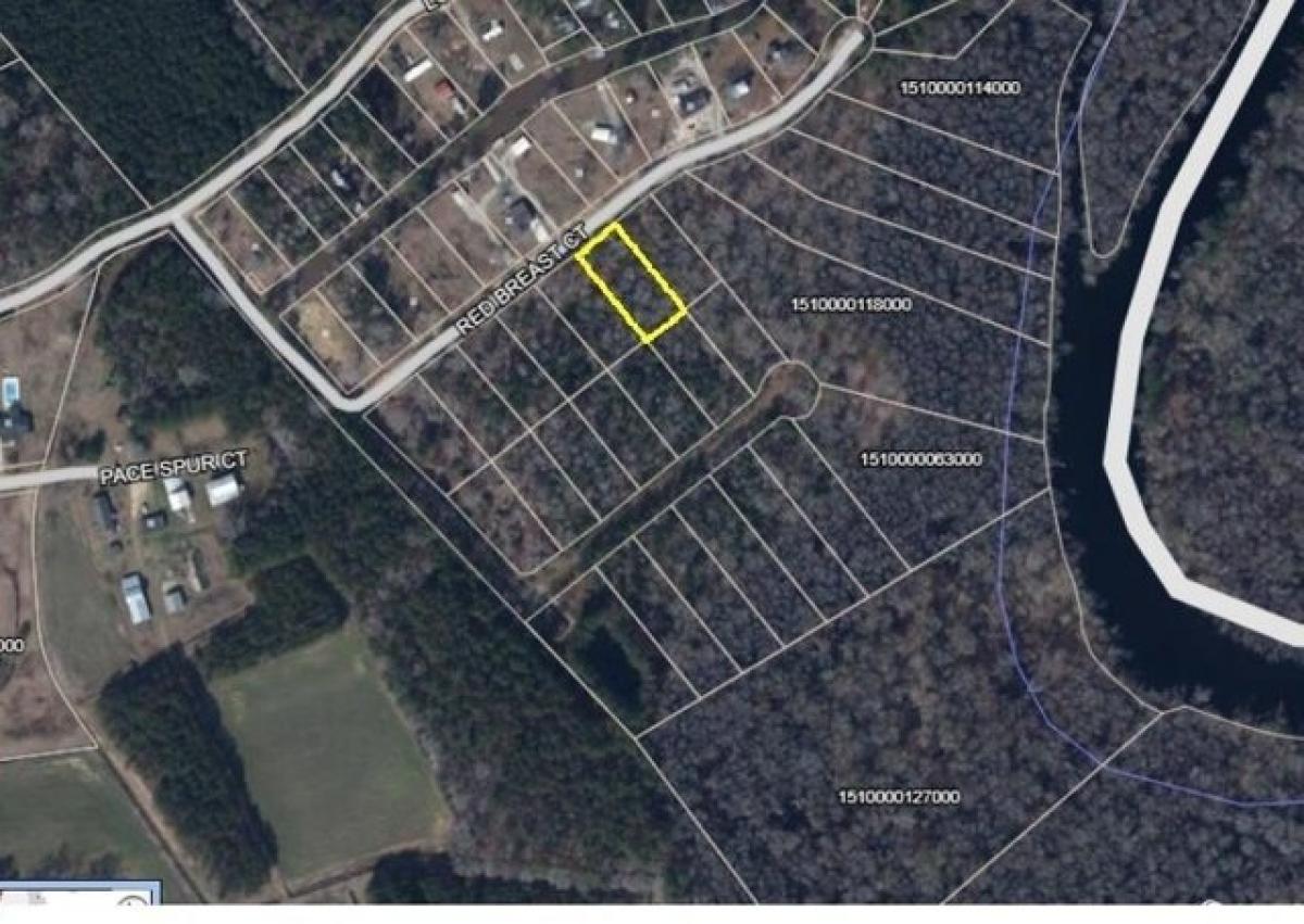 Picture of Residential Land For Sale in Gresham, South Carolina, United States