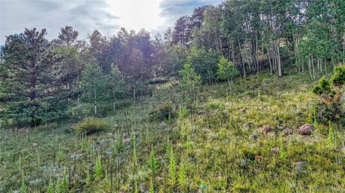 Picture of Residential Land For Sale in Cripple Creek, Colorado, United States