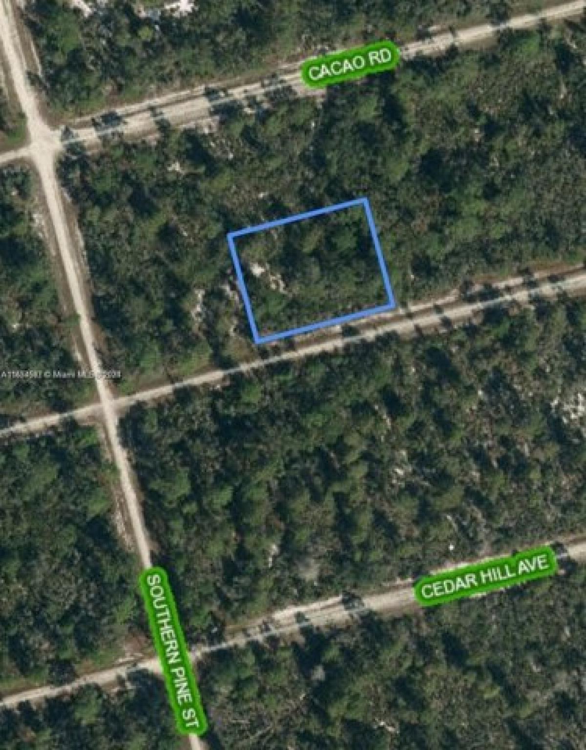 Picture of Residential Land For Sale in Lake Placid, Florida, United States