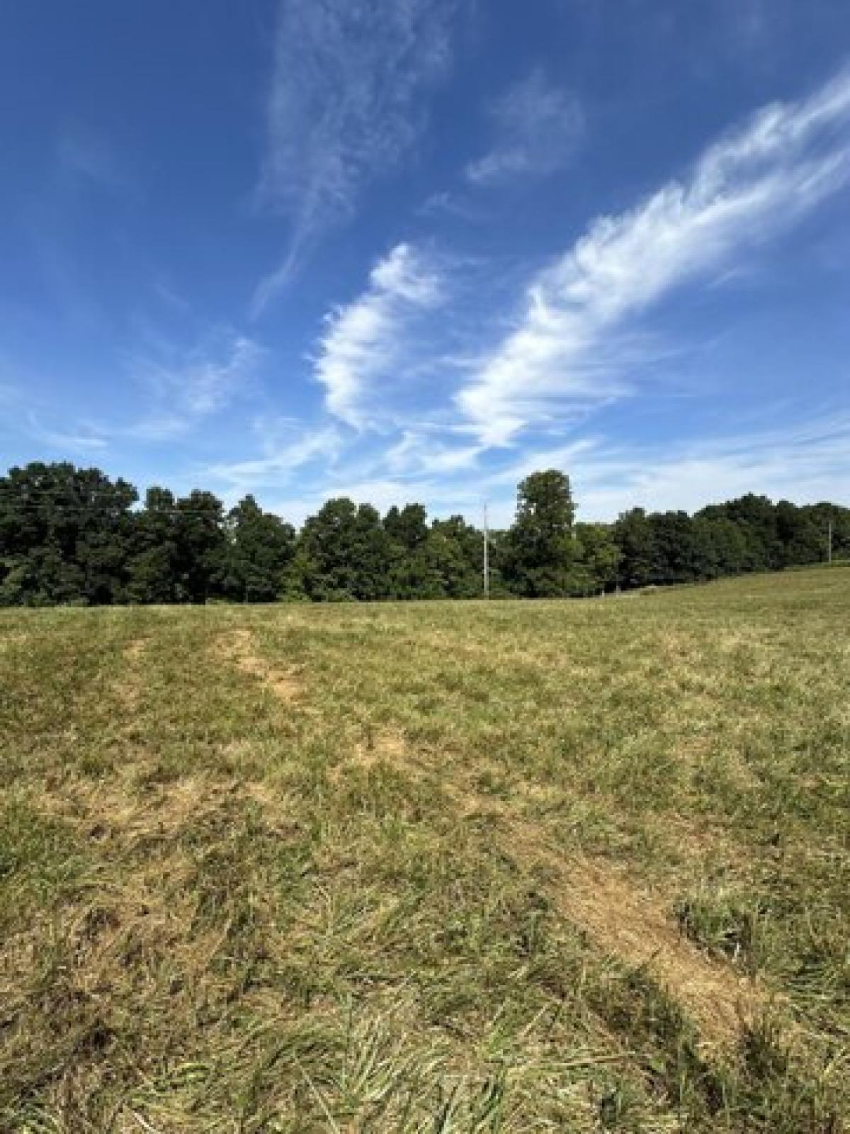 Picture of Residential Land For Sale in Lafayette, Tennessee, United States