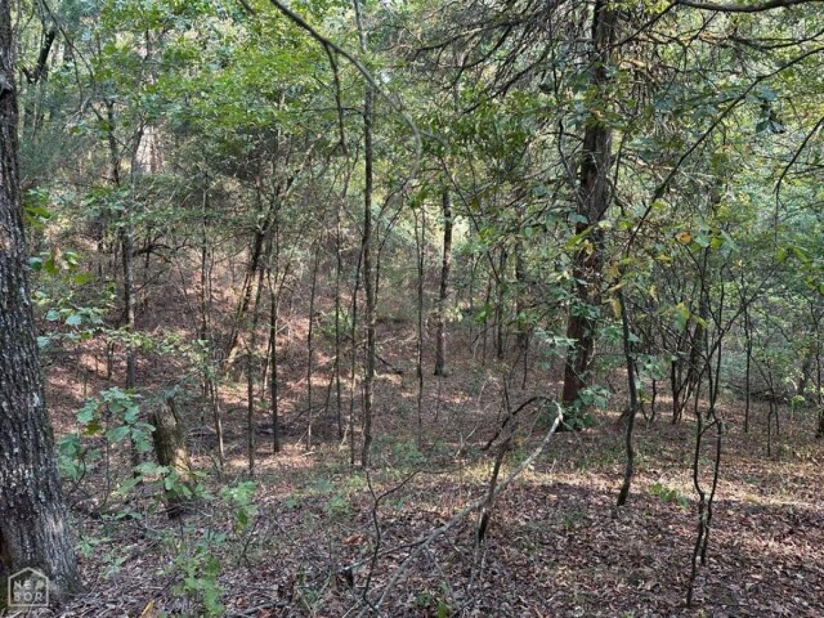 Picture of Residential Land For Sale in Paragould, Arkansas, United States