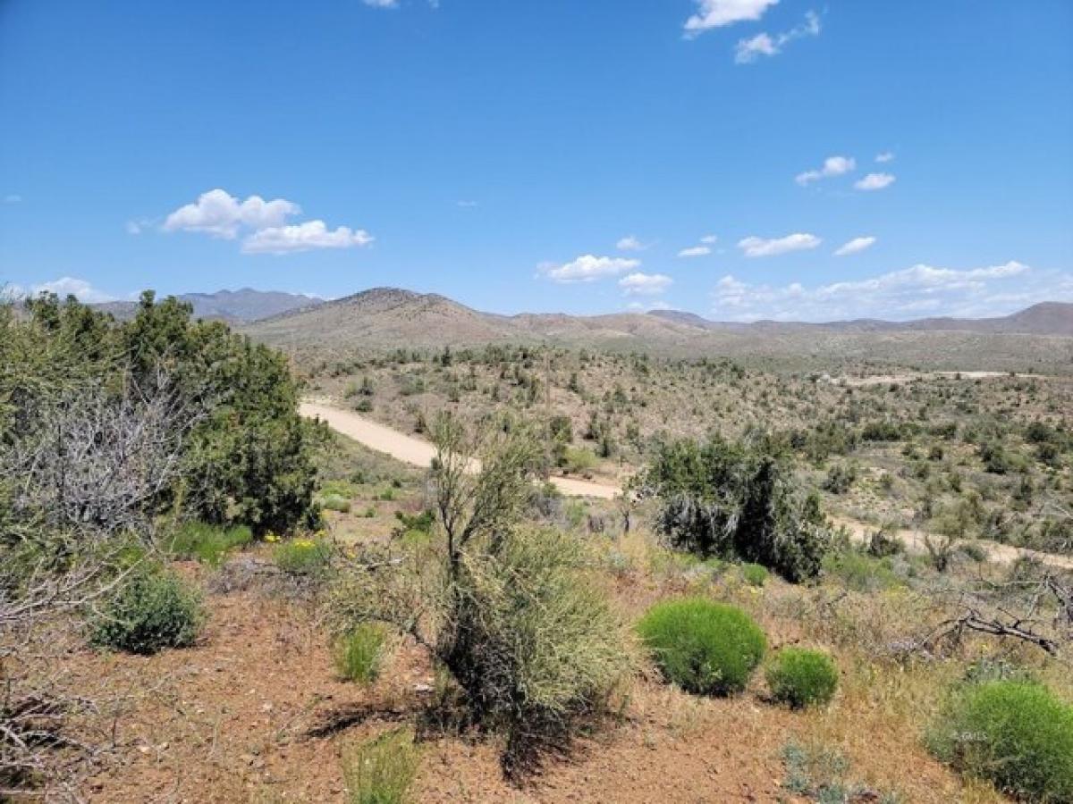 Picture of Residential Land For Sale in Globe, Arizona, United States