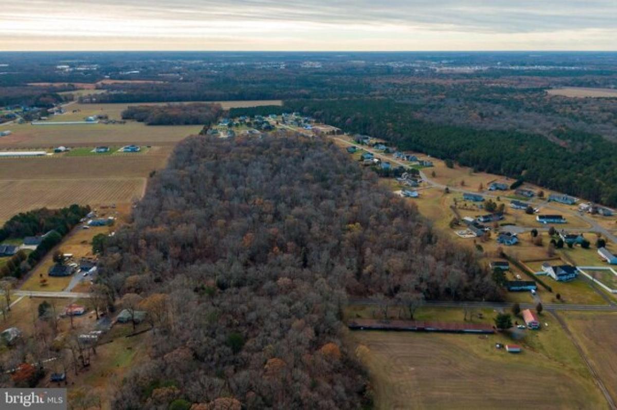 Picture of Residential Land For Sale in Millsboro, Delaware, United States